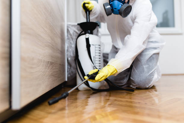 Best Affordable Pest Control Services  in Krugerville, TX