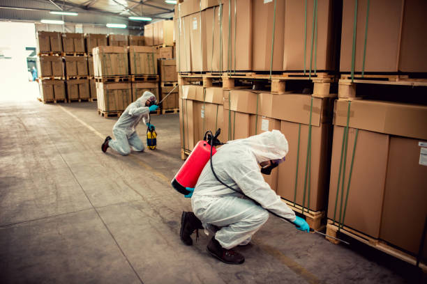Best Termite Control Services  in Krugerville, TX