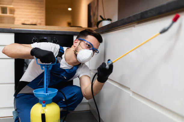 Best Pest Prevention Services  in Krugerville, TX