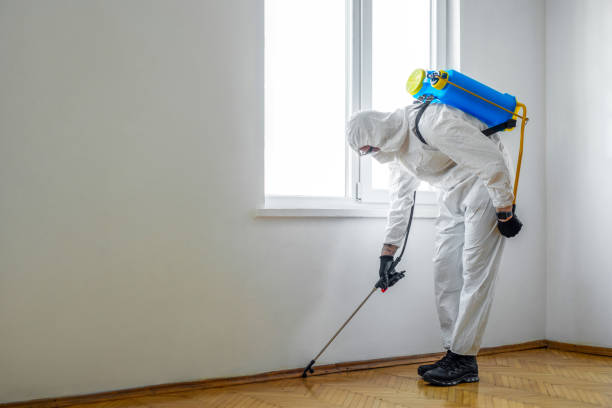 Best Insect Control  in Krugerville, TX