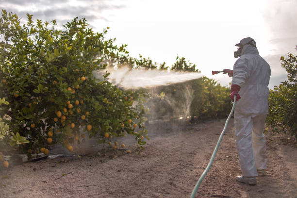 Best Commercial Pest Control Services  in Krugerville, TX