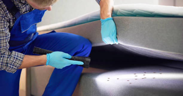 Reliable Krugerville, TX Pest Control Solutions