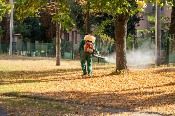 Best Emergency Pest Control  in Krugerville, TX